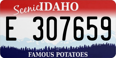 ID license plate E307659