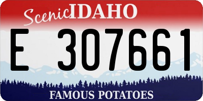 ID license plate E307661