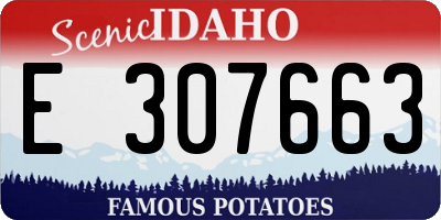 ID license plate E307663