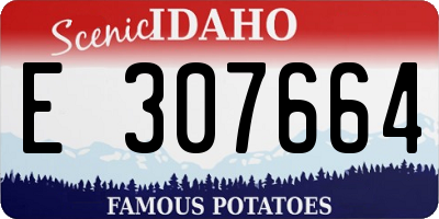 ID license plate E307664