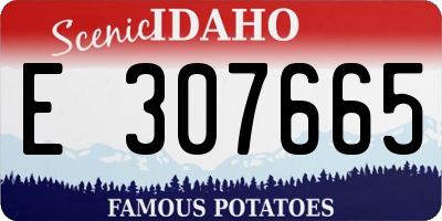 ID license plate E307665