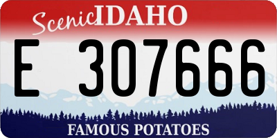 ID license plate E307666