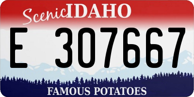 ID license plate E307667