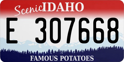 ID license plate E307668