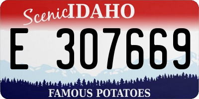 ID license plate E307669