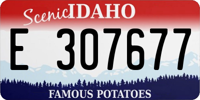 ID license plate E307677