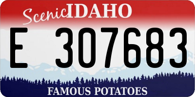 ID license plate E307683