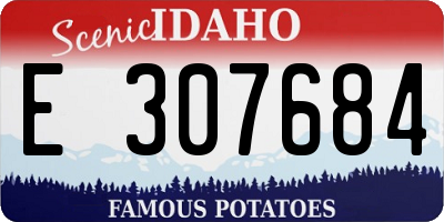 ID license plate E307684