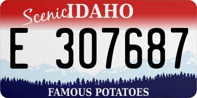 ID license plate E307687
