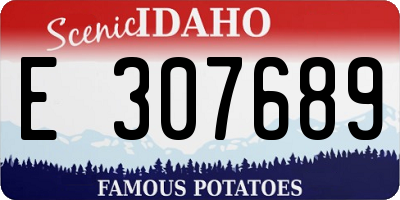 ID license plate E307689