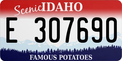 ID license plate E307690