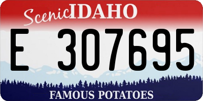 ID license plate E307695