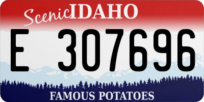 ID license plate E307696