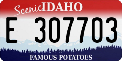 ID license plate E307703