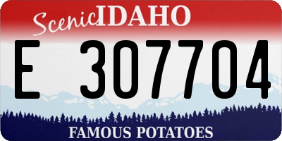 ID license plate E307704