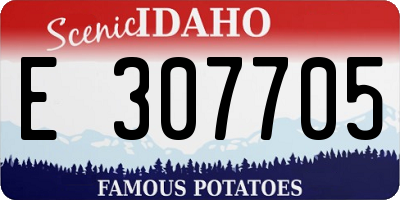 ID license plate E307705