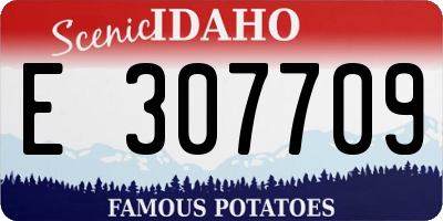 ID license plate E307709