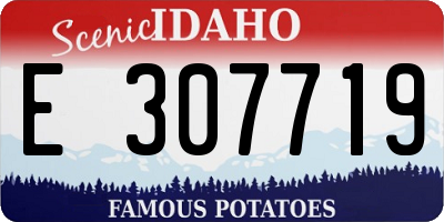 ID license plate E307719