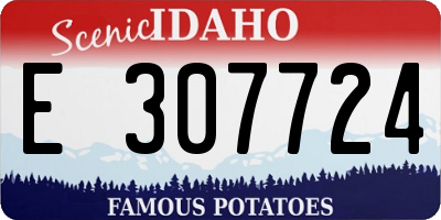 ID license plate E307724
