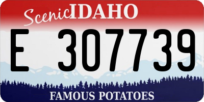ID license plate E307739