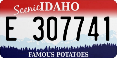 ID license plate E307741