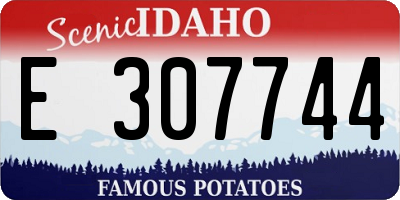 ID license plate E307744