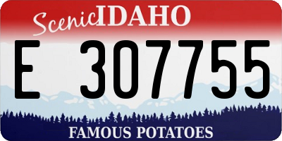 ID license plate E307755