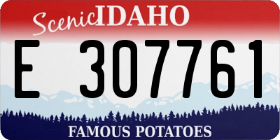ID license plate E307761