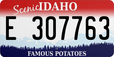 ID license plate E307763