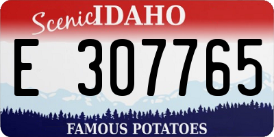 ID license plate E307765