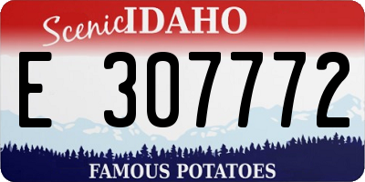 ID license plate E307772