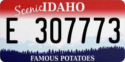 ID license plate E307773