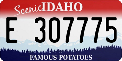 ID license plate E307775