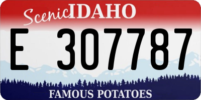 ID license plate E307787