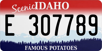 ID license plate E307789