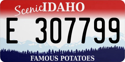 ID license plate E307799