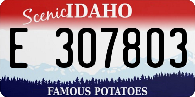 ID license plate E307803