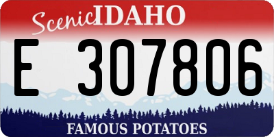 ID license plate E307806