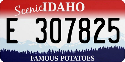 ID license plate E307825