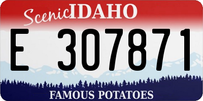 ID license plate E307871