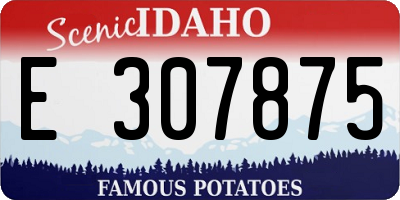 ID license plate E307875