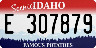 ID license plate E307879