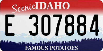 ID license plate E307884