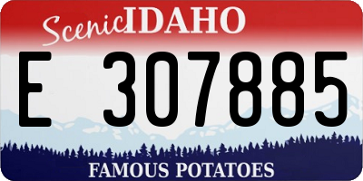 ID license plate E307885