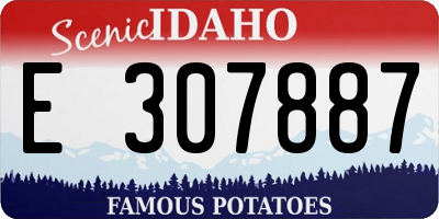 ID license plate E307887