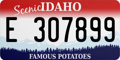 ID license plate E307899