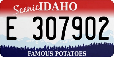 ID license plate E307902