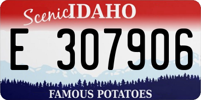 ID license plate E307906