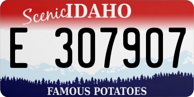 ID license plate E307907
