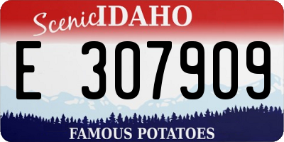 ID license plate E307909